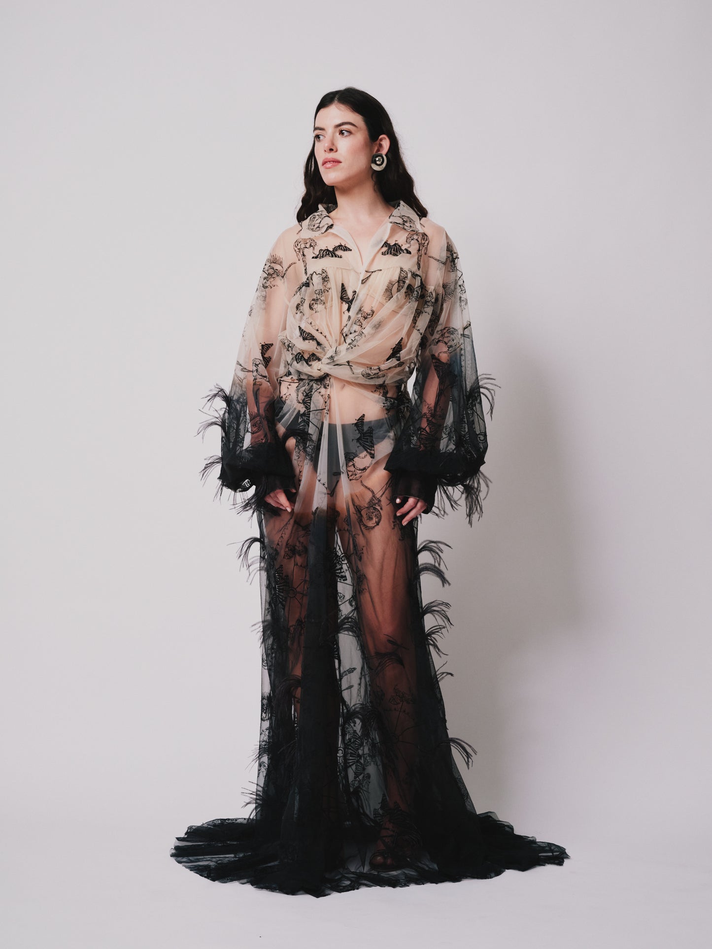 From view Model wearing a embroider sheer nude and black ombre with small train and ostrich feather trim on a white background