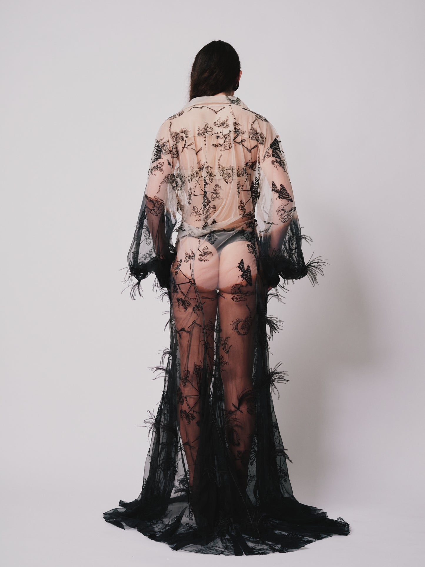 Back view Model wearing a embroider sheer nude and black ombre with small train and ostrich feather trim on a white background